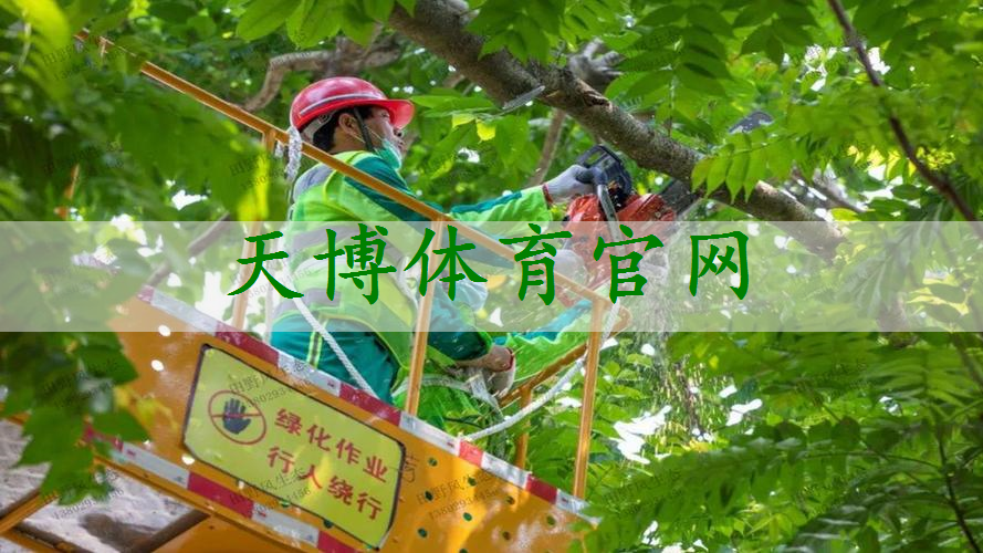 宜兴市政绿化种植土单价