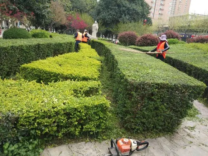 太原植物绿化工程招聘网